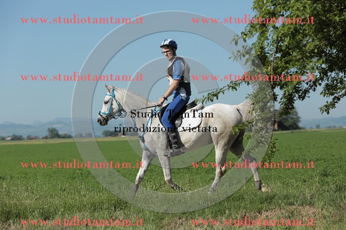 MAT_9374.JPG