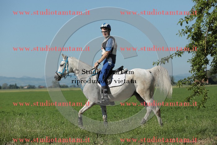 MAT_9375.JPG