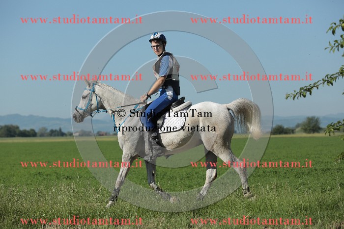 MAT_9376.JPG