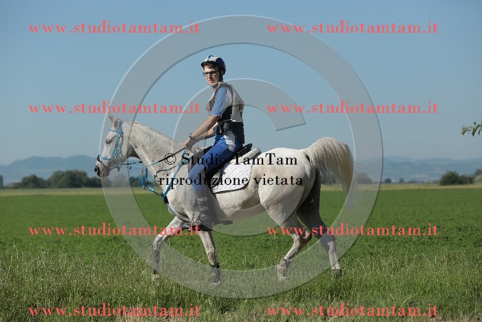 MAT_9377.JPG