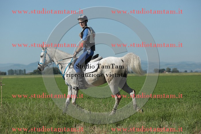 MAT_9378.JPG