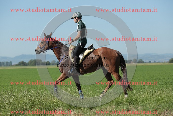 MAT_9382.JPG