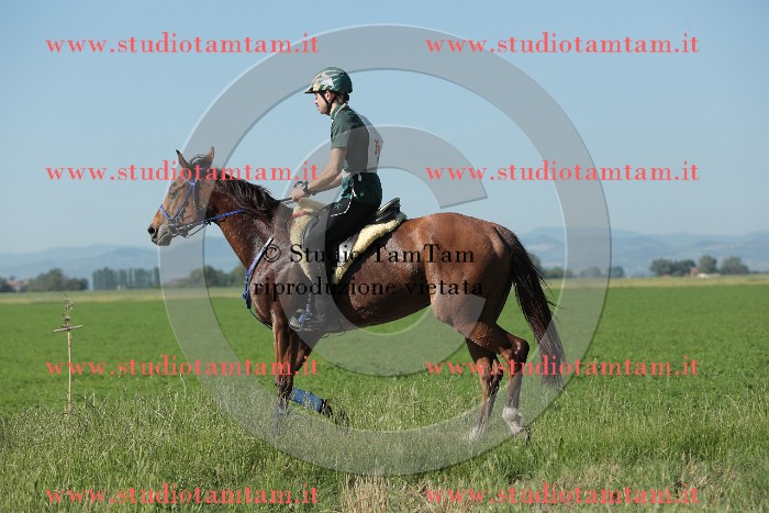 MAT_9383.JPG