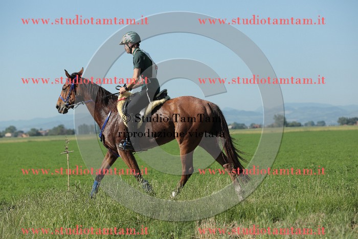 MAT_9384.JPG