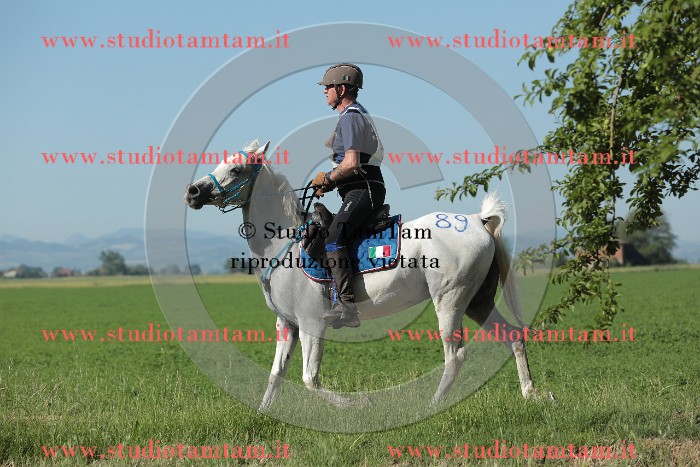 MAT_9385.JPG