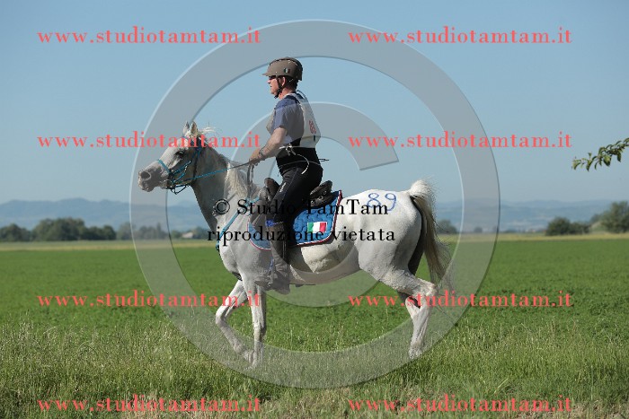 MAT_9387.JPG