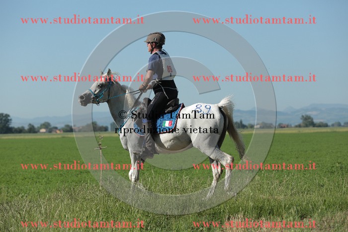 MAT_9390.JPG