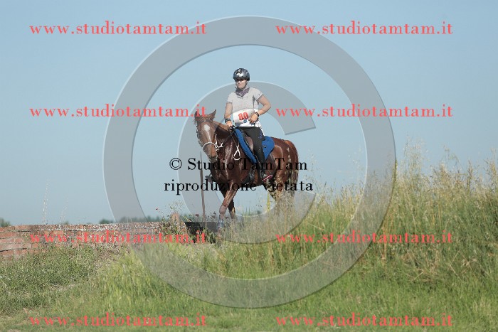 MAT_9391.JPG