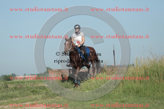 MAT_9392.JPG