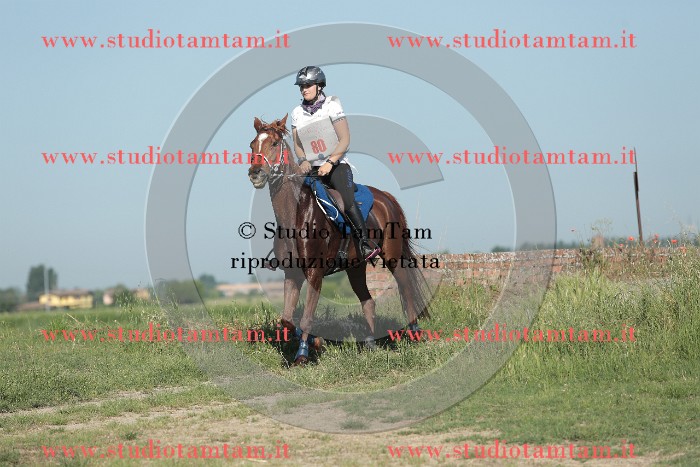 MAT_9394.JPG