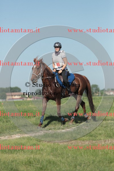 MAT_9395.JPG