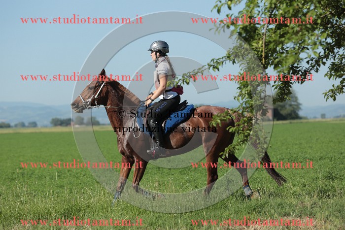 MAT_9399.JPG