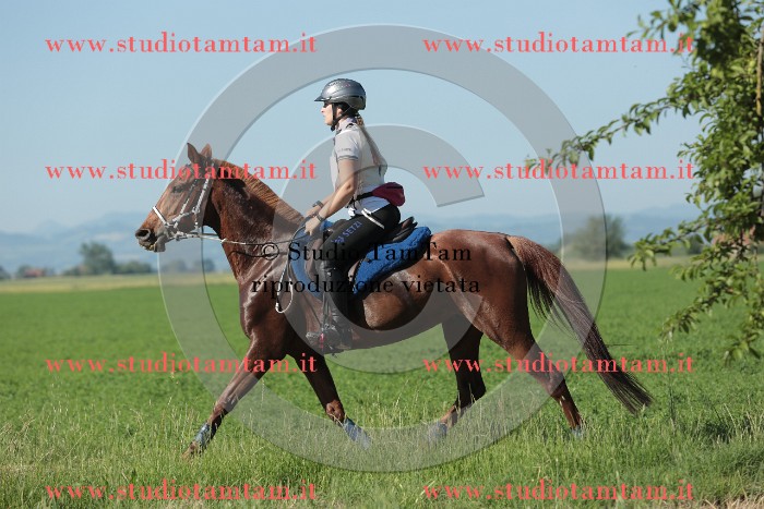 MAT_9400.JPG