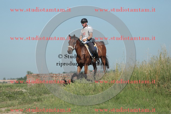 MAT_9406.JPG