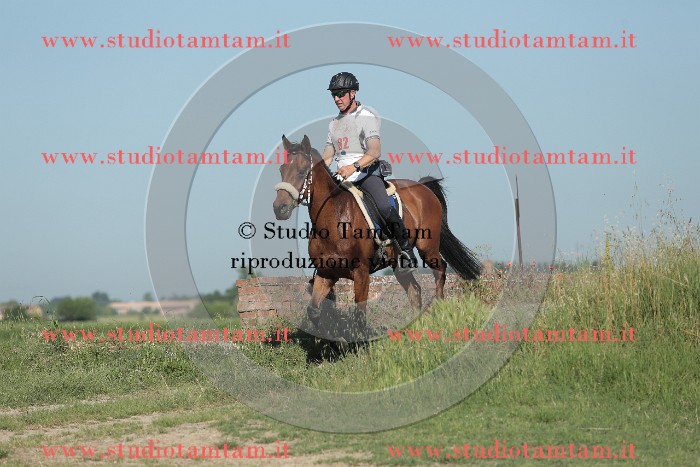 MAT_9407.JPG
