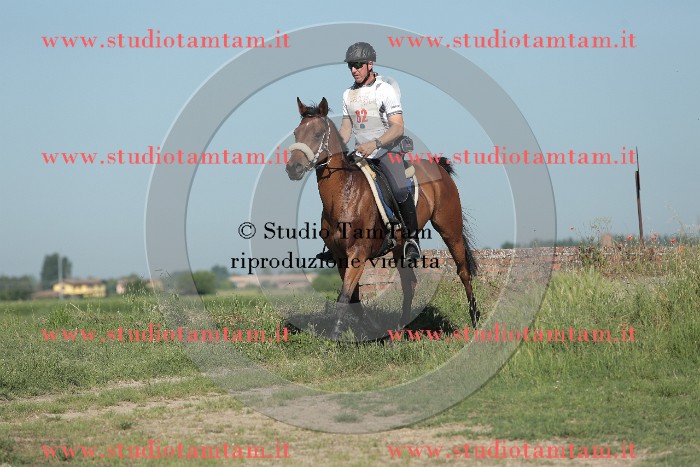 MAT_9408.JPG