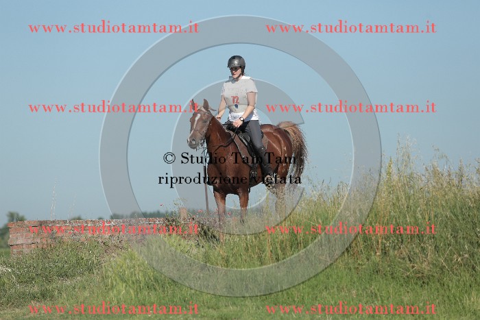 MAT_9422.JPG