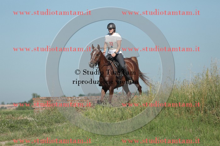 MAT_9423.JPG