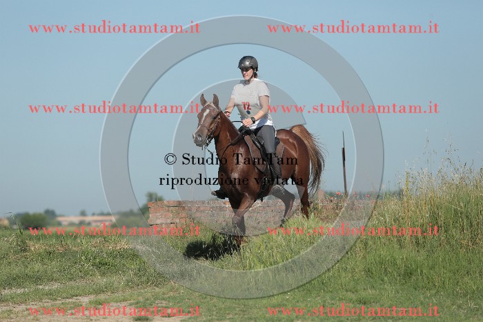 MAT_9424.JPG