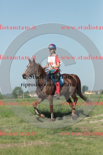 MAT_9440.JPG