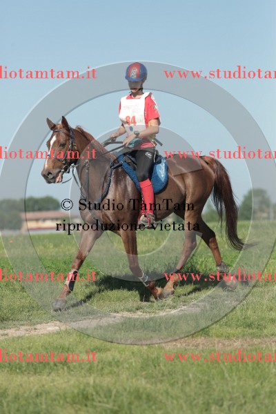 MAT_9444.JPG