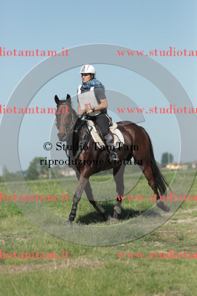 MAT_9446.JPG