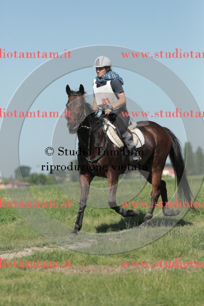 MAT_9448.JPG