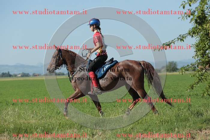 MAT_9450.JPG