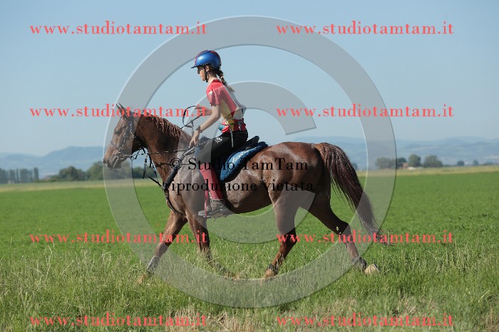 MAT_9452.JPG