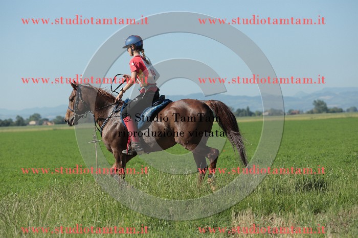 MAT_9454.JPG