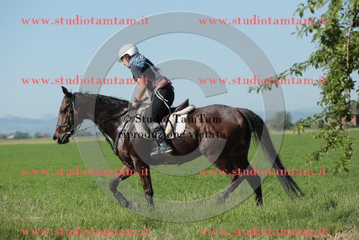 MAT_9455.JPG