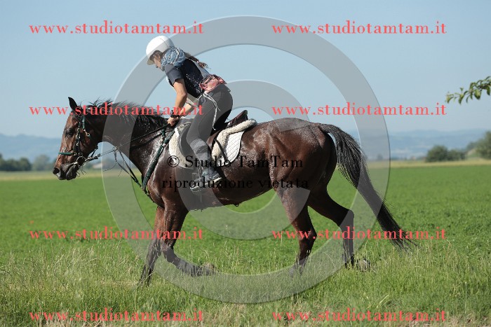 MAT_9456.JPG