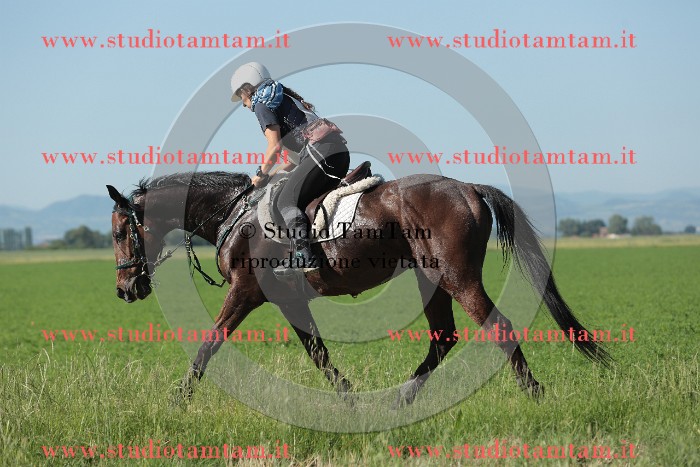 MAT_9457.JPG