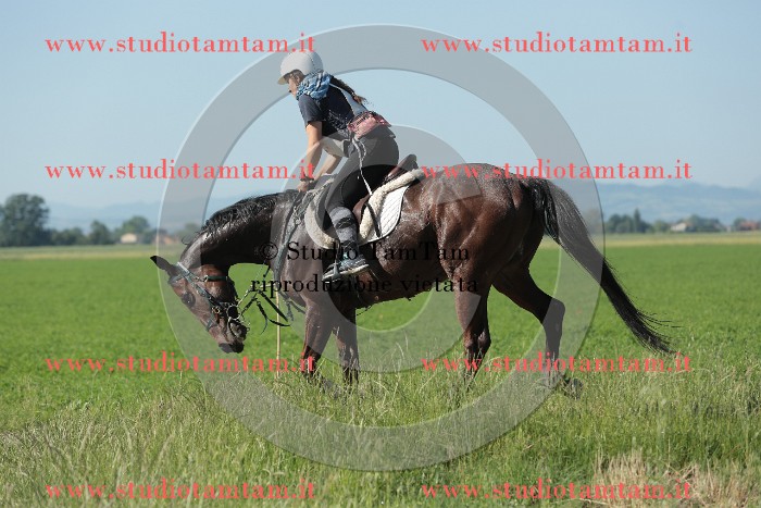 MAT_9459.JPG