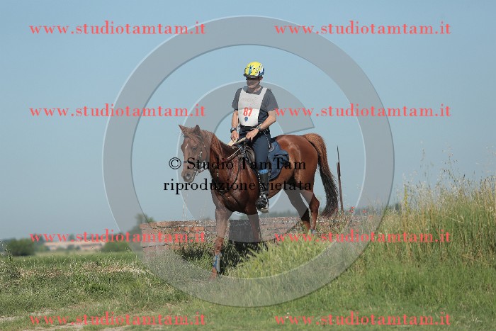 MAT_9462.JPG
