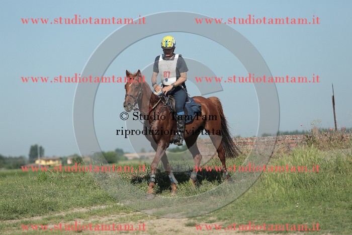 MAT_9463.JPG