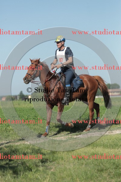 MAT_9468.JPG
