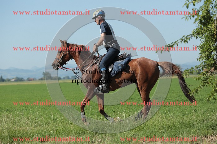 MAT_9469.JPG