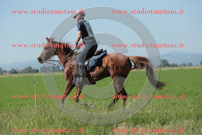MAT_9472.JPG