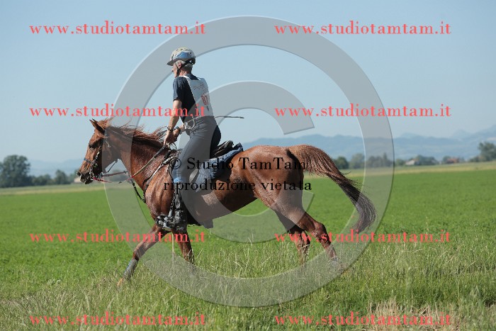MAT_9473.JPG