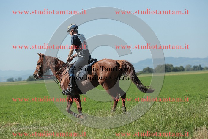 MAT_9474.JPG