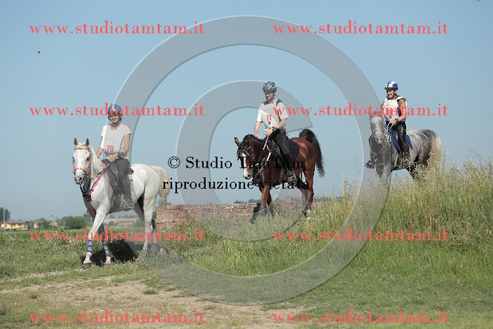 MAT_9476.JPG