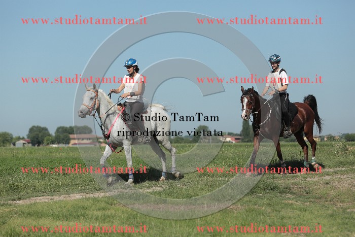 MAT_9477.JPG