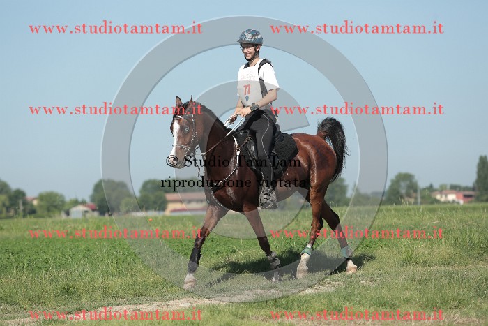 MAT_9480.JPG