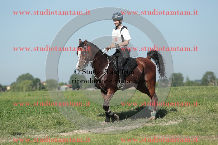 MAT_9481.JPG