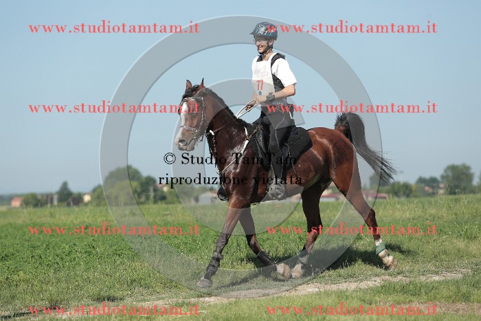 MAT_9482.JPG
