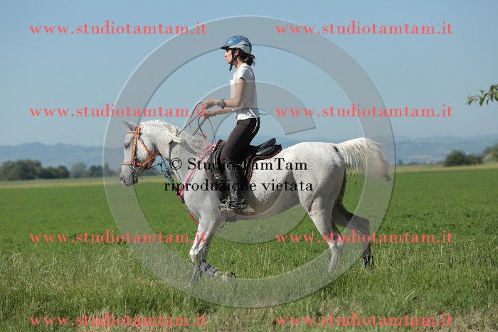 MAT_9486.JPG