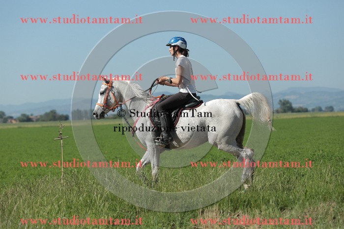 MAT_9488.JPG
