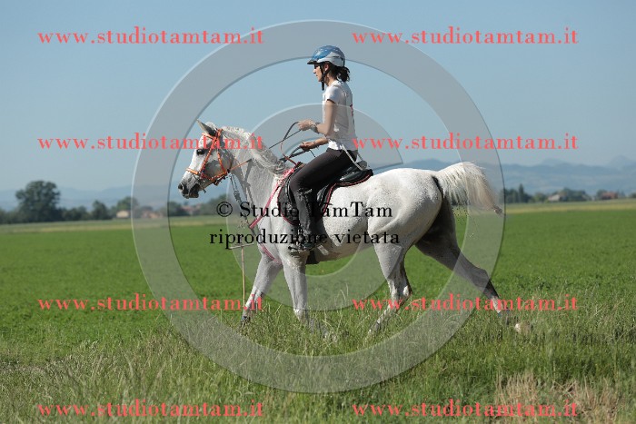 MAT_9489.JPG