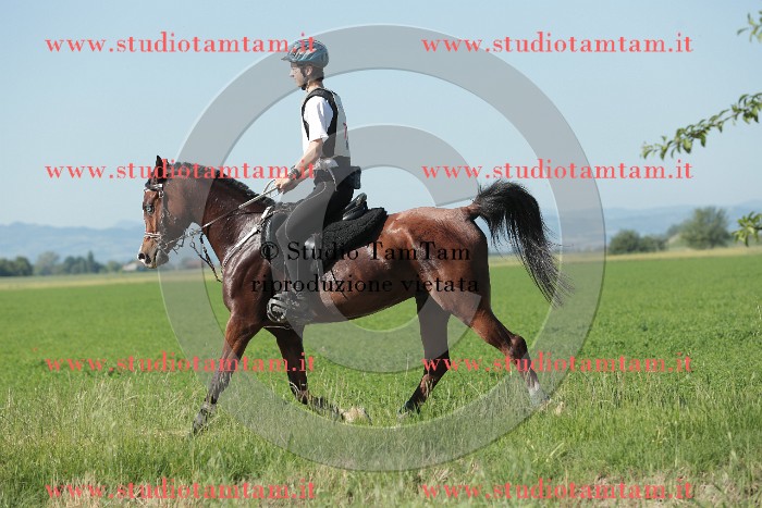 MAT_9490.JPG